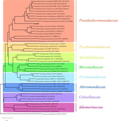 Taxonomic and Enzymatic Characterization of Flocculibacter collagenilyticus gen. nov., sp. nov., a Novel Gammaproteobacterium With High Collagenase Production